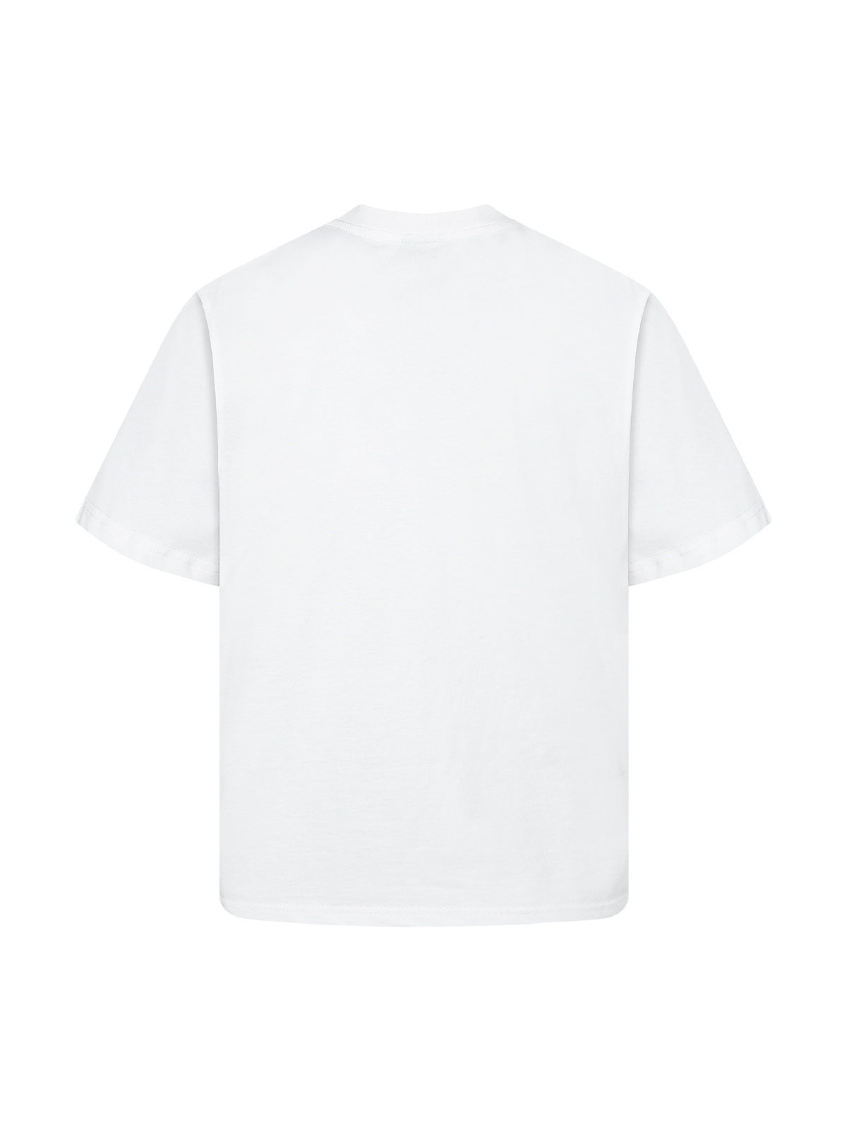 Bold Zebra Print Graphic T-Shirt