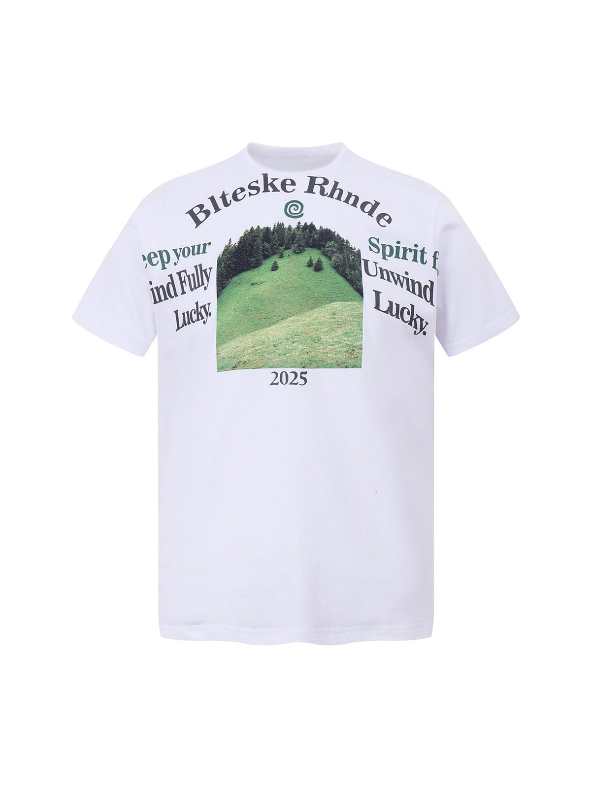 Graphic Scenic Print T-Shirt